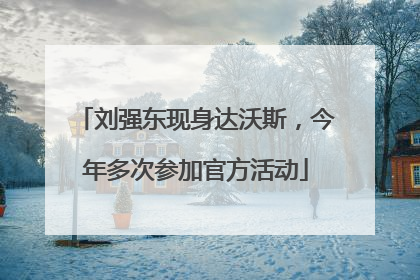 刘强东现身达沃斯，今年多次参加官方活动