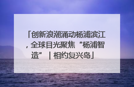 创新浪潮涌动杨浦滨江，全球目光聚焦“杨浦智造”｜相约复兴岛