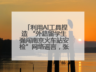 利用AI工具捏造 “外籍留学生强闯南京火车站安检”网络谣言，张某燕被行政拘留