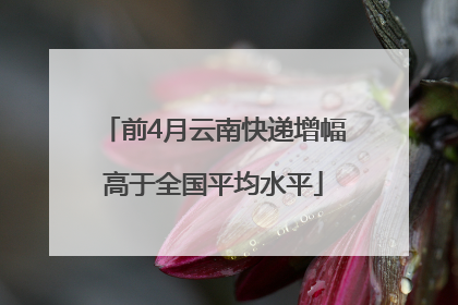 前4月云南快递增幅高于全国平均水平