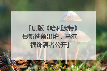 剧版《哈利波特》最新选角出炉，马尔福饰演者公开