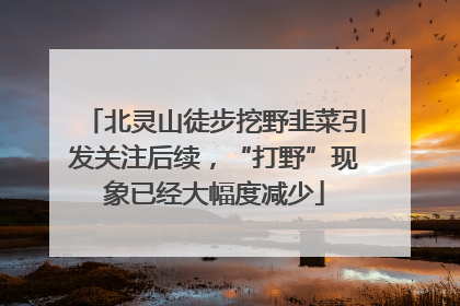 北灵山徒步挖野韭菜引发关注后续，“打野”现象已经大幅度减少