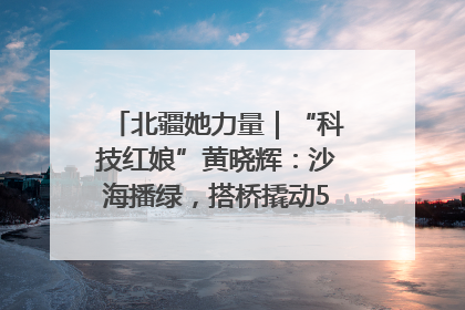 北疆她力量｜“科技红娘”黄晓辉：沙海播绿，搭桥撬动5.3亿研发