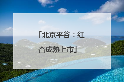北京平谷：红杏成熟上市