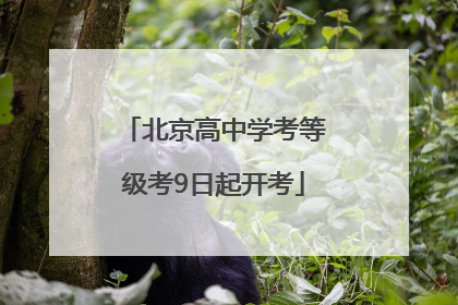 北京高中学考等级考9日起开考