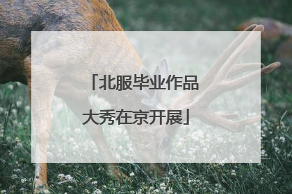 北服毕业作品大秀在京开展