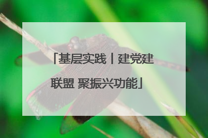 基层实践丨建党建联盟 聚振兴功能