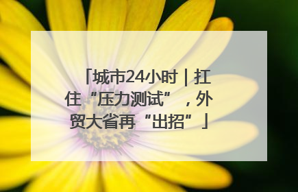 城市24小时｜扛住“压力测试”，外贸大省再“出招”