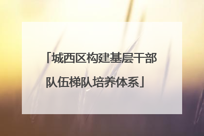 城西区构建基层干部队伍梯队培养体系