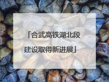 合武高铁湖北段建设取得新进展