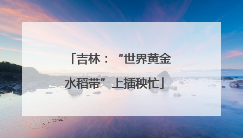 吉林：“世界黄金水稻带”上插秧忙