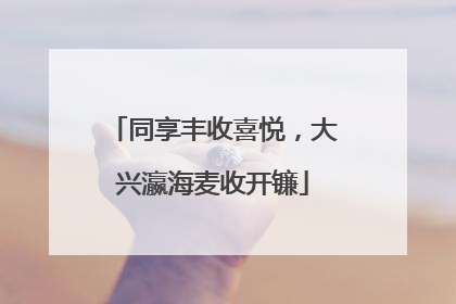 同享丰收喜悦，大兴瀛海麦收开镰