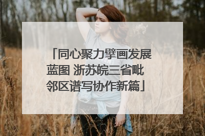 同心聚力擘画发展蓝图 浙苏皖三省毗邻区谱写协作新篇