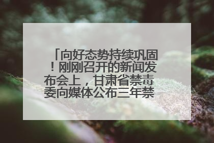 向好态势持续巩固！刚刚召开的新闻发布会上，甘肃省禁毒委向媒体公布三年禁毒工作“成绩单”