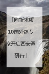 向新求质 10国外籍专家开启西安调研行