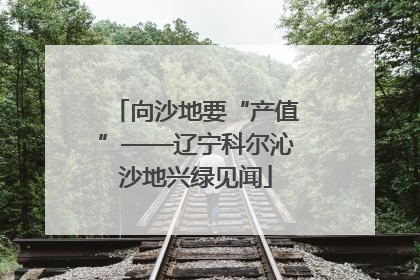 向沙地要“产值”——辽宁科尔沁沙地兴绿见闻