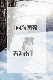 向海图强看海南