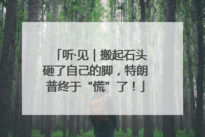 听·见｜搬起石头砸了自己的脚，特朗普终于“慌”了！
