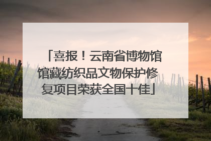 喜报！云南省博物馆馆藏纺织品文物保护修复项目荣获全国十佳