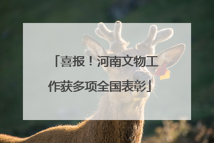 喜报！河南文物工作获多项全国表彰