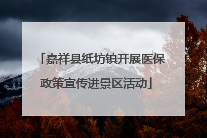 嘉祥县纸坊镇开展医保政策宣传进景区活动