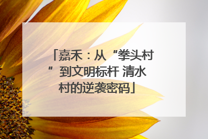 嘉禾：从“拳头村”到文明标杆 清水村的逆袭密码