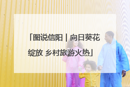 图说信阳｜向日葵花绽放 乡村旅游火热