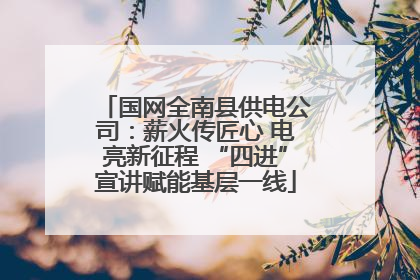 国网全南县供电公司：薪火传匠心 电亮新征程 “四进”宣讲赋能基层一线