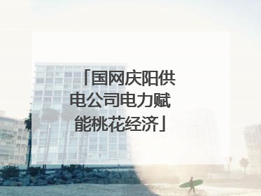 国网庆阳供电公司电力赋能桃花经济