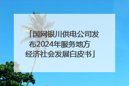国网银川供电公司发布2024年服务地方经济社会发展白皮书