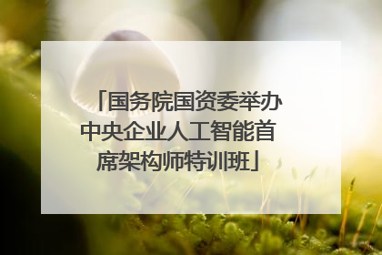 国务院国资委举办中央企业人工智能首席架构师特训班