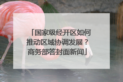 国家级经开区如何推动区域协调发展？商务部答封面新闻