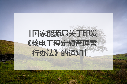 国家能源局关于印发《核电工程定额管理暂行办法》的通知