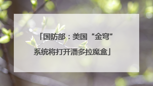 国防部：美国“金穹”系统将打开潘多拉魔盒