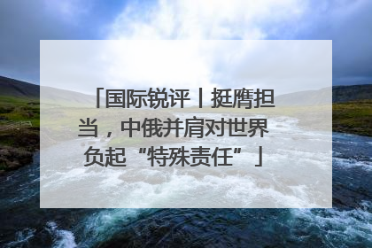 国际锐评丨挺膺担当，中俄并肩对世界负起“特殊责任”
