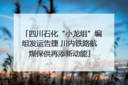 四川石化“小龙组”编组发运告捷 川内铁路航煤保供再添新动能