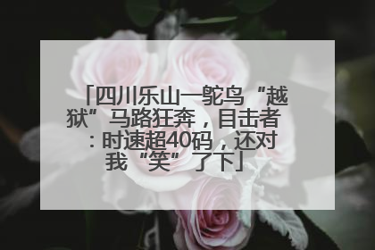 四川乐山一鸵鸟“越狱”马路狂奔，目击者：时速超40码，还对我“笑”了下