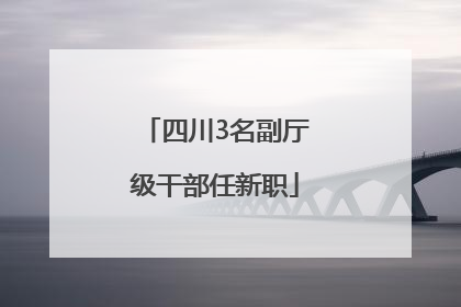 四川3名副厅级干部任新职
