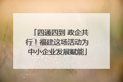 四通四到 政企共行！福建这场活动为中小企业发展赋能