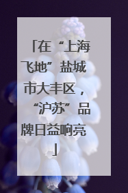 在“上海飞地”盐城市大丰区，“沪苏”品牌日益响亮