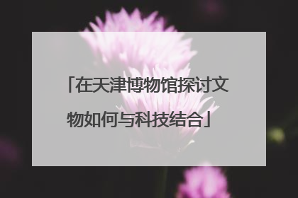 在天津博物馆探讨文物如何与科技结合