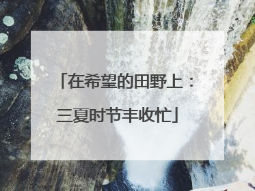 在希望的田野上：三夏时节丰收忙