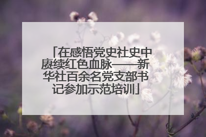 在感悟党史社史中赓续红色血脉——新华社百余名党支部书记参加示范培训