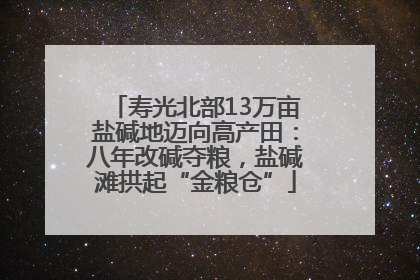 寿光北部13万亩盐碱地迈向高产田：八年改碱夺粮，盐碱滩拱起“金粮仓”