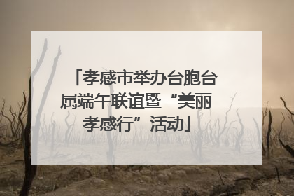 孝感市举办台胞台属端午联谊暨“美丽孝感行”活动