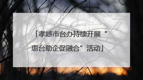 孝感市台办持续开展“惠台助企促融合”活动