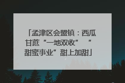 孟津区会盟镇：西瓜甘蔗“一地双收” “甜蜜事业”甜上加甜