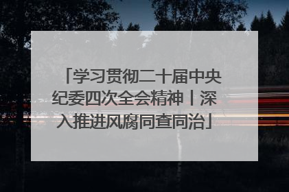 学习贯彻二十届中央纪委四次全会精神丨深入推进风腐同查同治