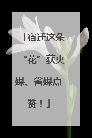宿迁这朵“花”获央媒、省媒点赞！