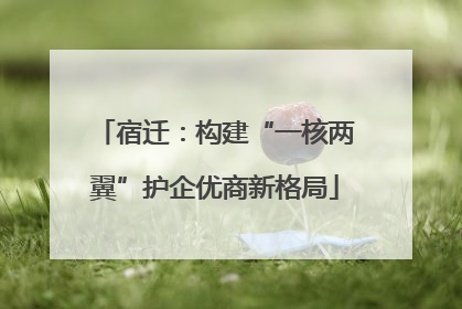 宿迁：构建“一核两翼”护企优商新格局